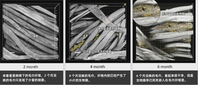 的同款毛巾！我们低价搞到了冰球突破豪华版胖某来刚上架(图9)